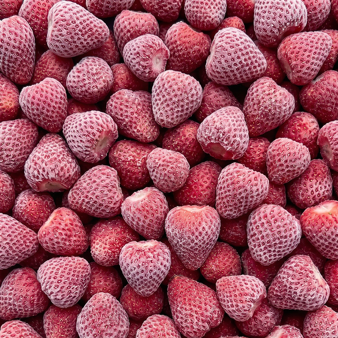 Close-up of whole frozen strawberries coated with frost